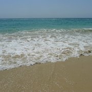 Baja2011 601 : Baja2011